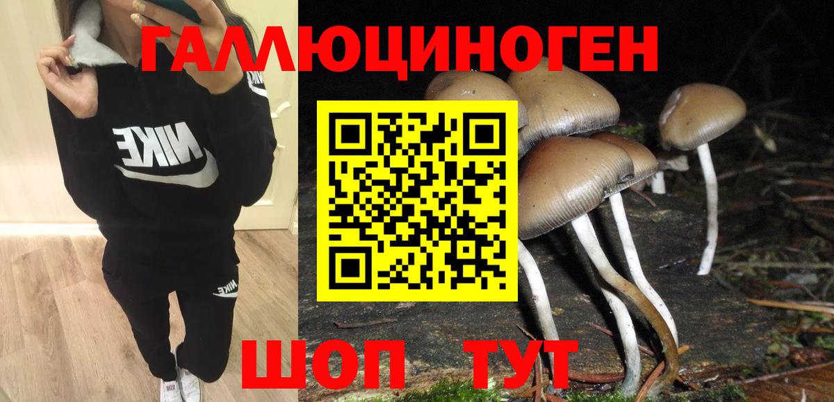 Псилоцибиновые грибы GOLDEN TEACHER Наро-Фоминск