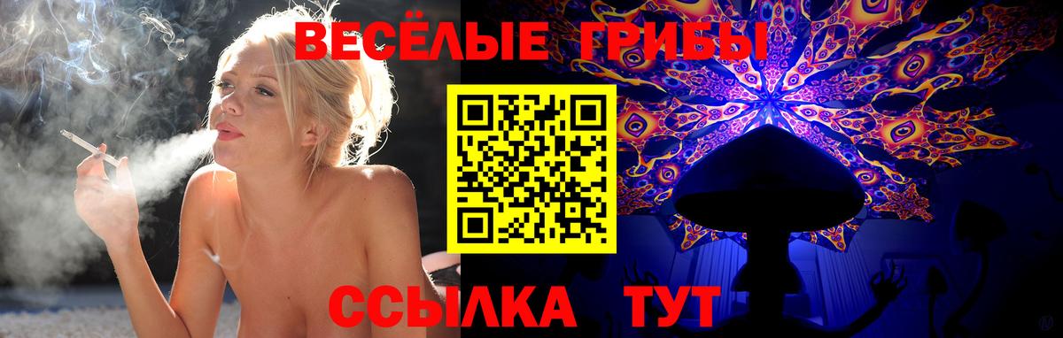 Галлюциногенные грибы прущие грибы  Вход с VPN  Псилоцибиновые грибы Psilocybe  Наро-Фоминск 